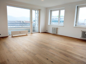Wohnzimmer 1